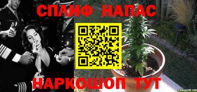 spice Севастополь