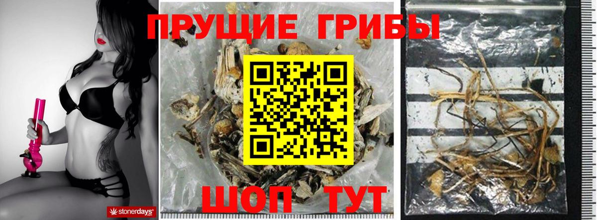 Галлюциногенные грибы Psilocybine cubensis Отрадный